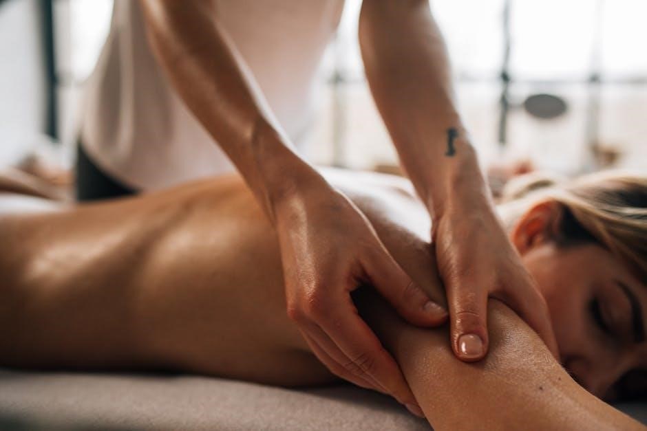 marquis spa manual