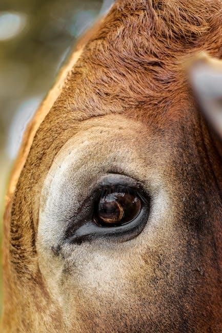 ferdinand the bull pdf