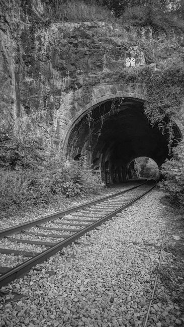 stony point line timetable pdf